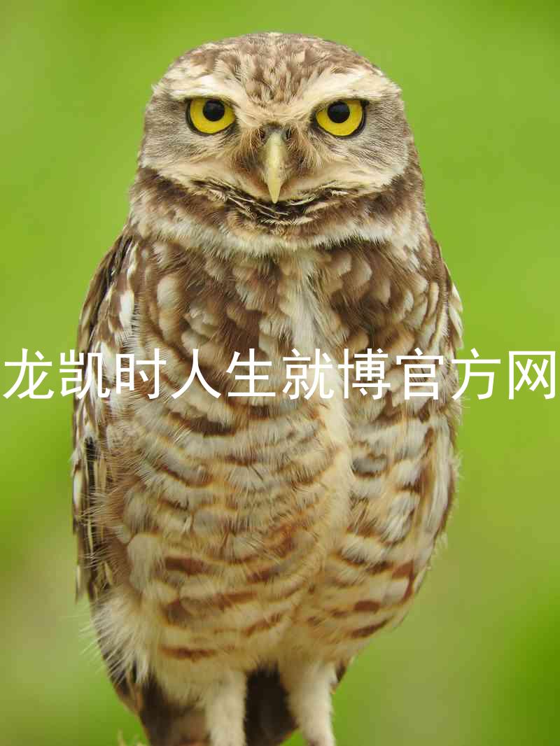 尊龙凯时人生就博官方网站